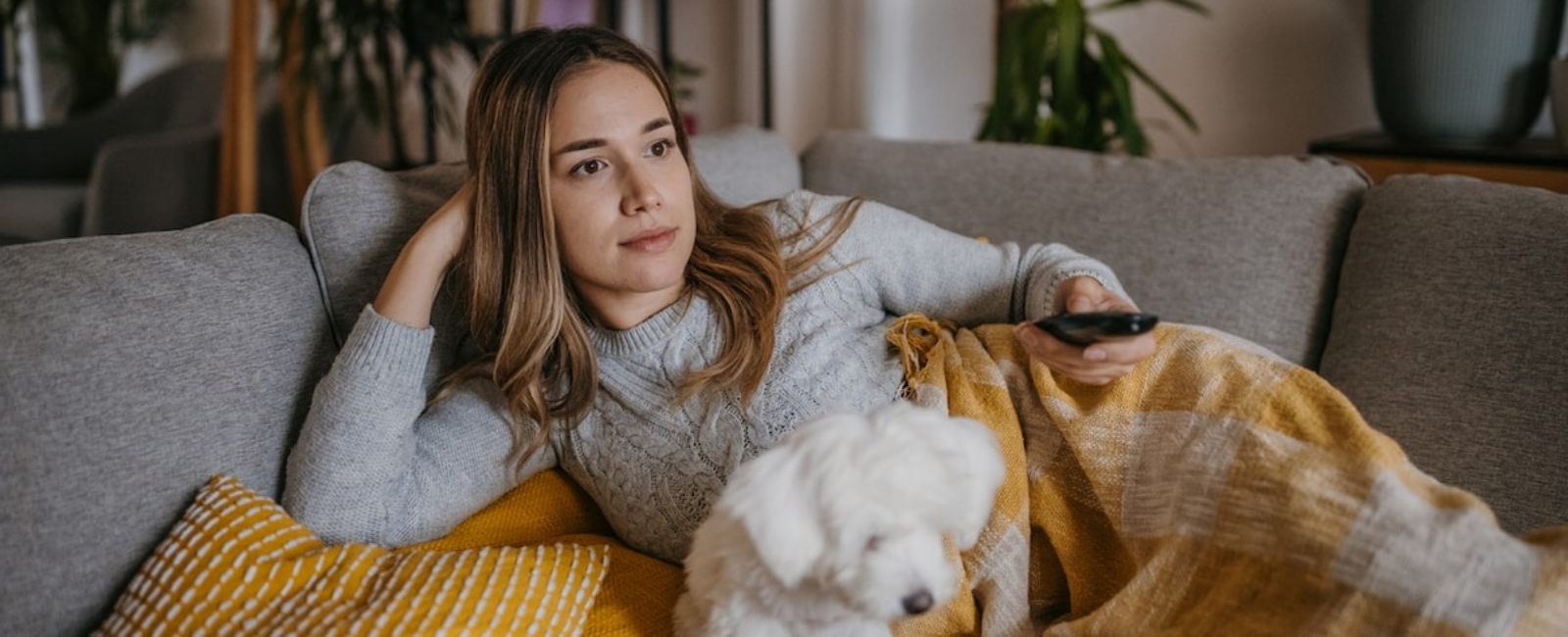 Évolution du comportement des téléspectateurs Évolution du comportement des téléspectateurs